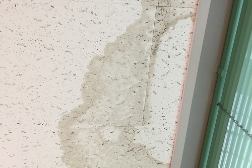 シミのある天井