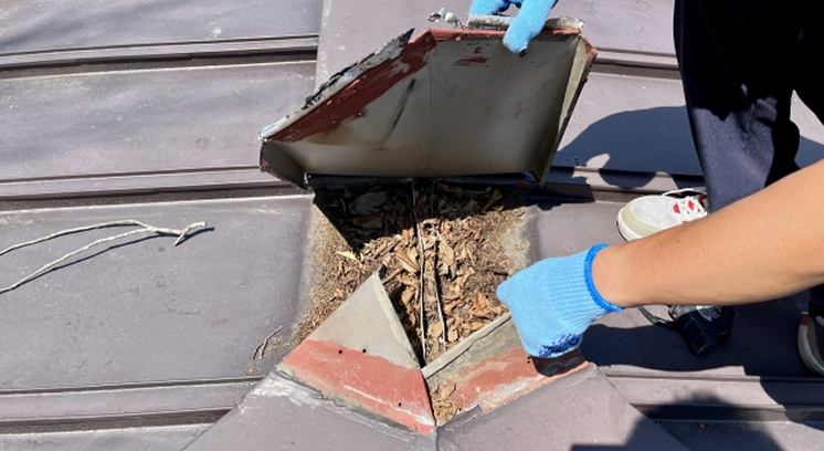 屋根板金の交換