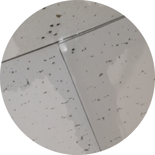 早期対策が肝心