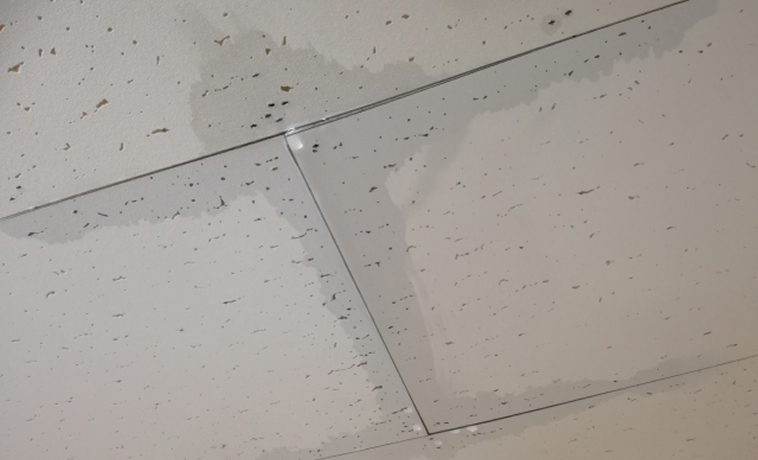 雨漏り調査・修繕