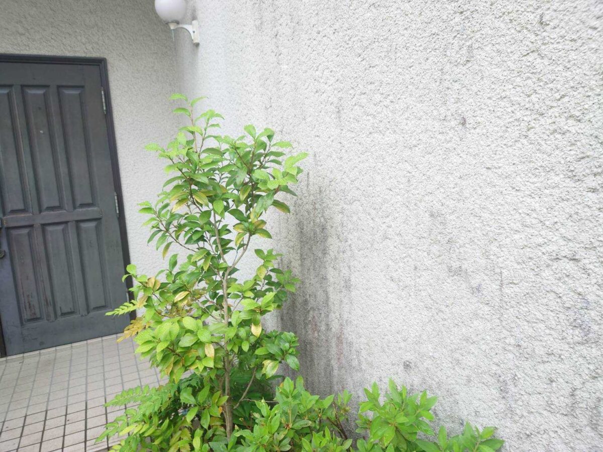 大阪府堺市　F様邸　外壁塗装工事　施工前　劣化症状はメンテナンスのサイン！