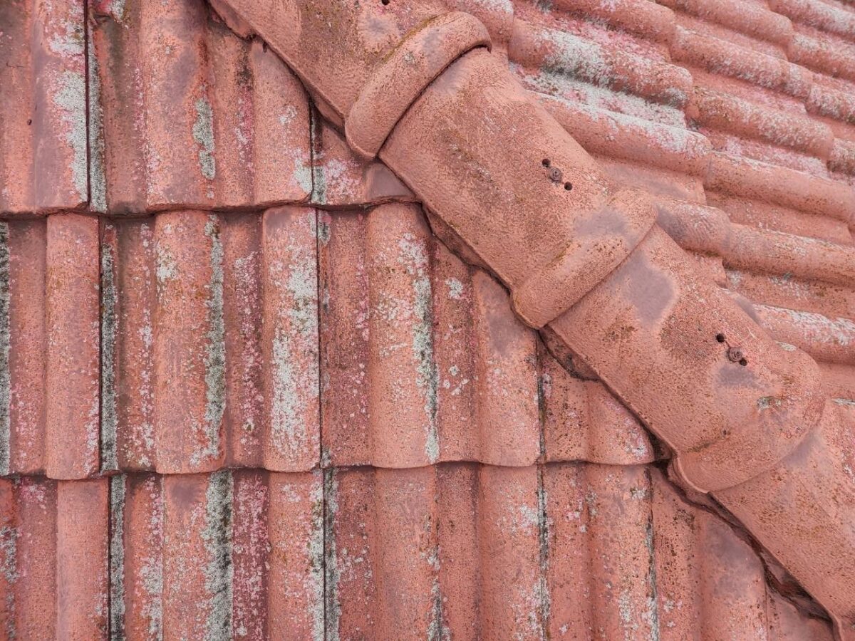 大阪府堺市　Y様邸　屋根・外壁塗装工事　屋根下塗りの大事なポイント