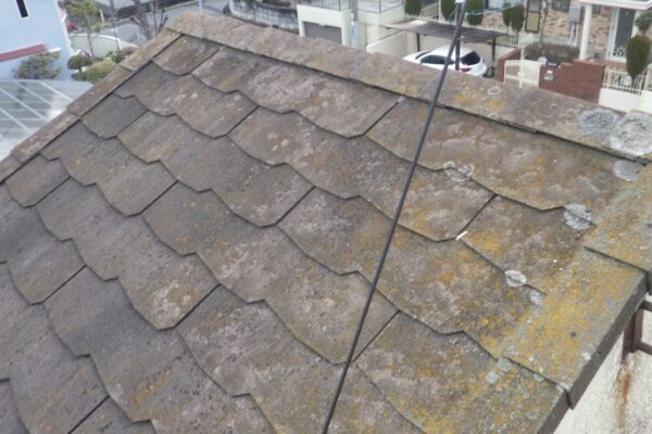 屋根に苔が生えてしまう原因｜大阪府堺市南区