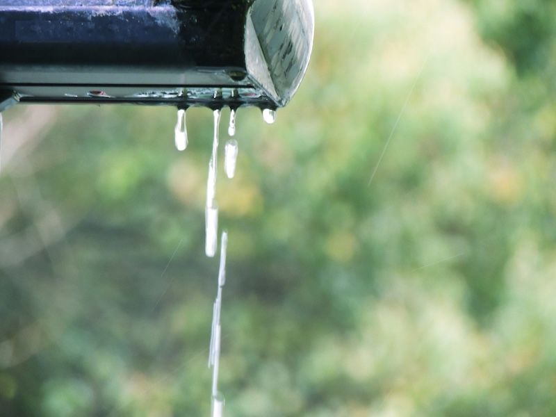 雨樋は定期的にチェック！ゴミが溜まっていたら清掃をお勧めします！