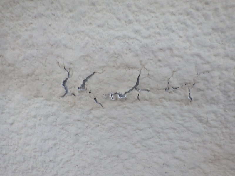 外壁の塗膜が劣化して剥離していました|大阪府堺市南区赤坂台