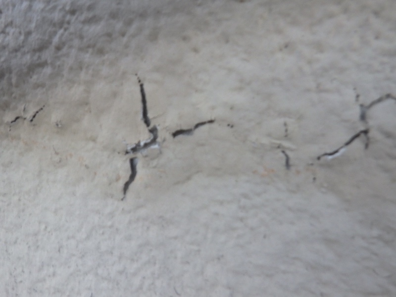 大阪府堺市南区|外壁の塗膜に膨れが出ていました