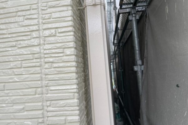 縦樋は外壁の色に合わせて塗装しました！｜大阪府堺市中区
